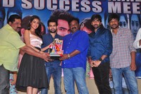 Pandaga Chesko Movie Success Meet